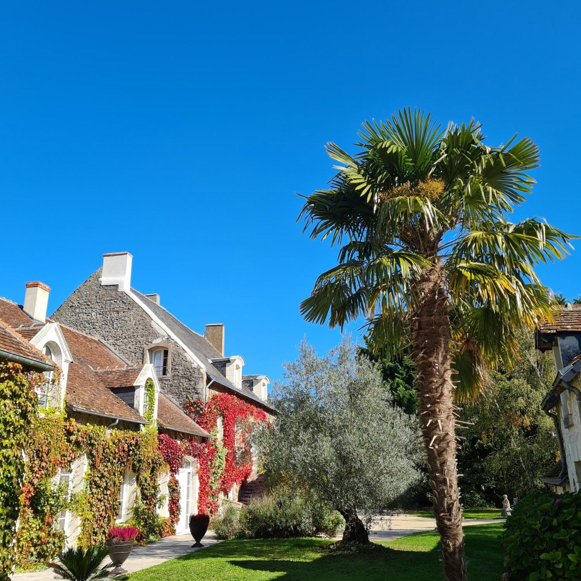 לינה וארוחת בוקר Feings  Domaine De La Blonnerie מראה חיצוני תמונה