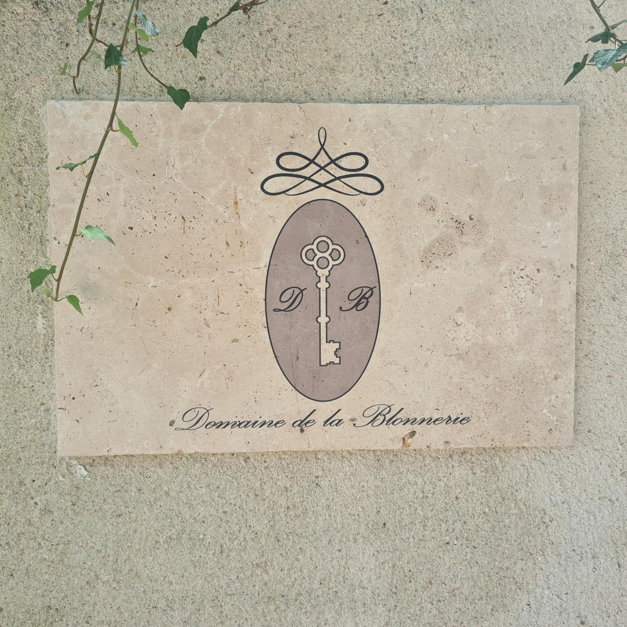 לינה וארוחת בוקר Feings  Domaine De La Blonnerie מראה חיצוני תמונה